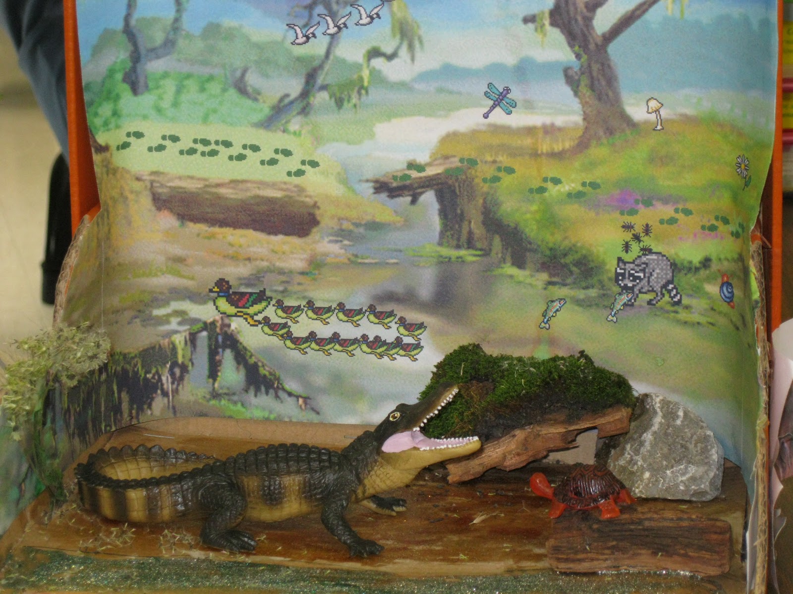 Mrs. Ussery's Second Grade Class: Animal Dioramas